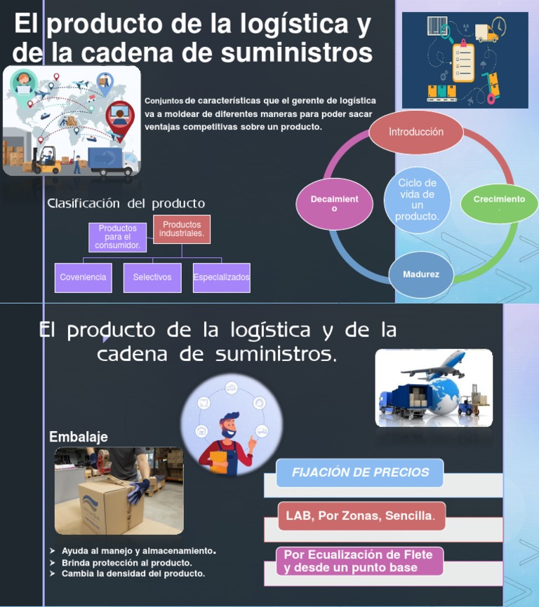 El Producto de La Logística y de La Cadena de Suministros Cap 3 PDF | PDF