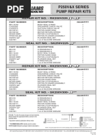 P250V Series Pump Repair Kit PDF