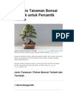 Tanaman Bonsai Guys PDF