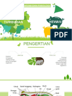 Biodas - Kelas B - Anfistum Dan Anfiswan