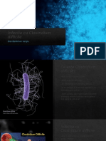 Clostridium Difficile