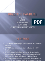 Bugetul Familiei PDF