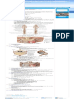 Bài giảng PDF