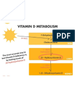Vitamin D Mechanism