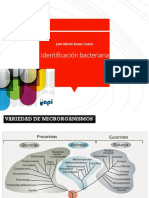 BM P2D IDENTIFICACION  v1 pdf.pdf