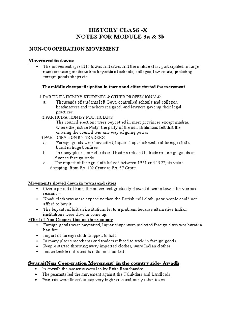 Notes For Module 3A & 3B History Class X PDF Politics Of India