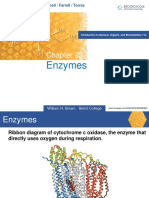 Enzymes: Bettelheim / Brown / Campbell / Farrell / Torres