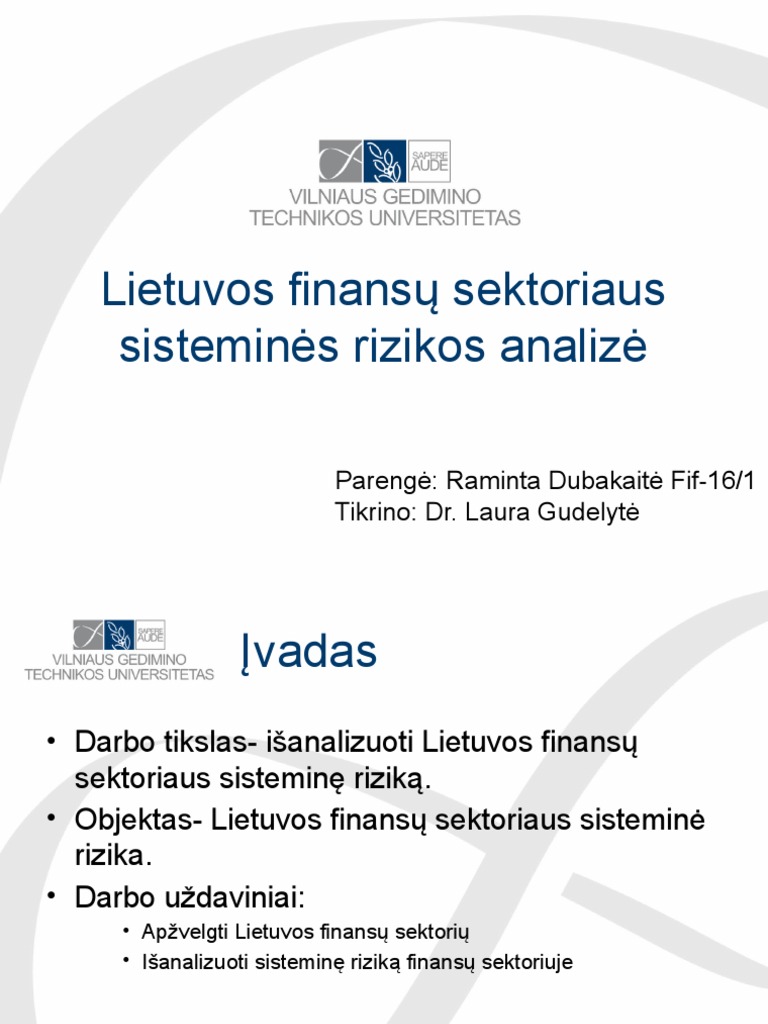 Lietuvos Finansų Sektoriaus Sisteminės Rizikos Analizė | PDF