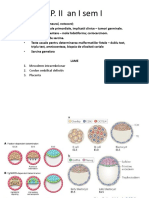 LPII AN I Sem 1 2019 PDF