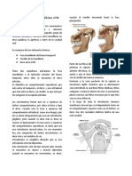 Articulación Temporomandibular ATM-1