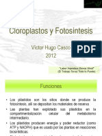 cloroplastos_fotosintesis_12.pdf