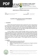 Swine Ear Notching Guide for 4-H | PDF | Pig | Domestic Pig