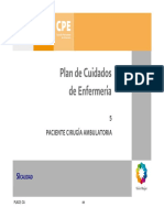 Ambulatoria PDF