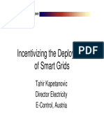 Incentivizing The Deployment of Smart Grids: Tahir Kapetanovic Director Electricity E-Control, Austria