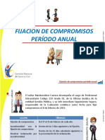 Fijacion de Compromisos Periodo Anual - Pps