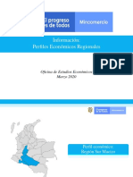 Perfiles Económicos Regionales: Región Sur Macizo
