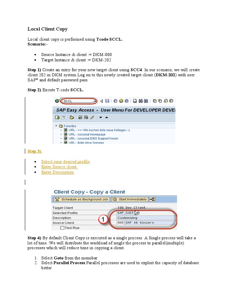 Local Client Copy. PDF