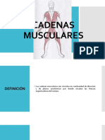 CADENAS MUSCULARES Biomecanica