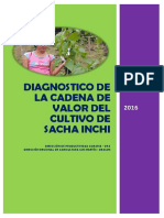 Diagnostico Cadena Sacha Inchi