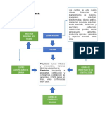 Representación Gráfica Sena