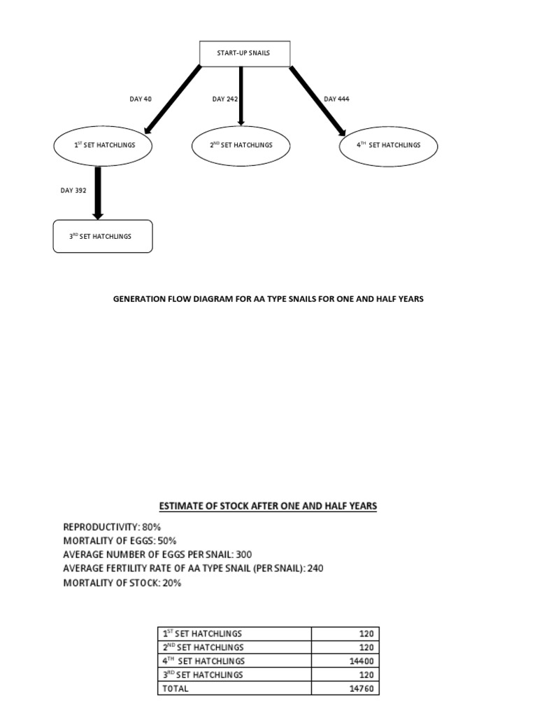 Aa Type Snail Schedule | PDF | Nature
