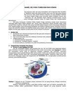 organella sel.pdf