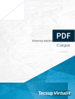 Cargas 06.pdf