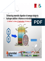 Enhancing Anaerobic Digestion of Sewage Sludge by Hydrogen Addition: Influence On Microbial Population