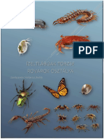 Rovarok Fakt PDF