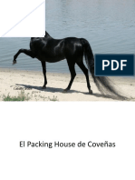 Packing House de Coveñas