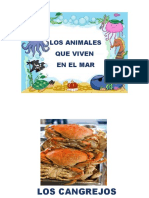 Animales Que Viven en El Mar