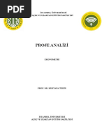 Projeanalizi PDF