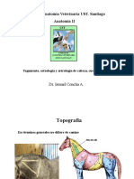 004-2011 AV2-Osteol,artro,Cab-Cue-Tronco-EQUINO.pdf