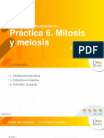 Practica 6 Mitosis y Meiosis - 201101 Biología (1) - 1 PDF