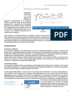 Clase 16.patología Pulmonar Obstructiva Vs Restrictiva en Pediatría..