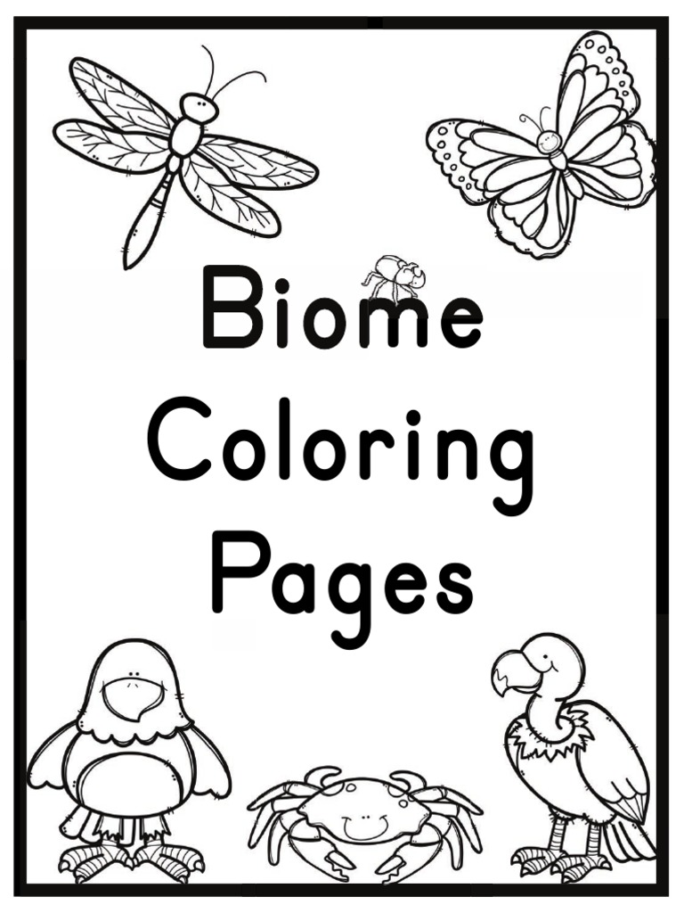 Biome Coloring Pages A PDF Rainforest Arctic