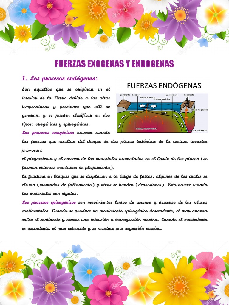 Geografia Fuerzas Exogenas y Endogenas PDF | PDF