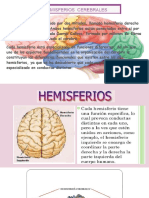 Hemisferios Cerebrales