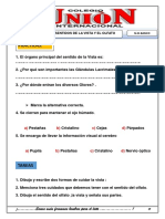 C T-Basico PDF