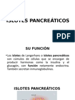 Islotes Pancreáticos