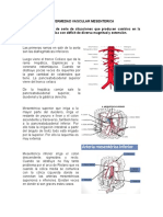 Enfermedad vascular mesentérica: causas, síntomas y tratamiento