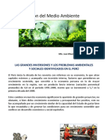 Gestión del Medio Ambiente 12.pptx
