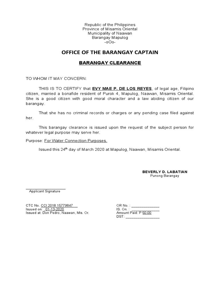 Office of The Barangay Captain PDF