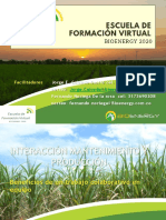 Interaccion Mantenimiento Procesos PDF