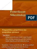 Pemeriksaan Mikrobiologi