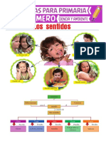 Los Sentidos para Primero de PrimariaGH PDF