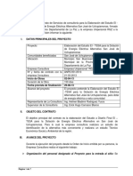 Primer Informe PDF