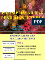 IKTERUS.ppt