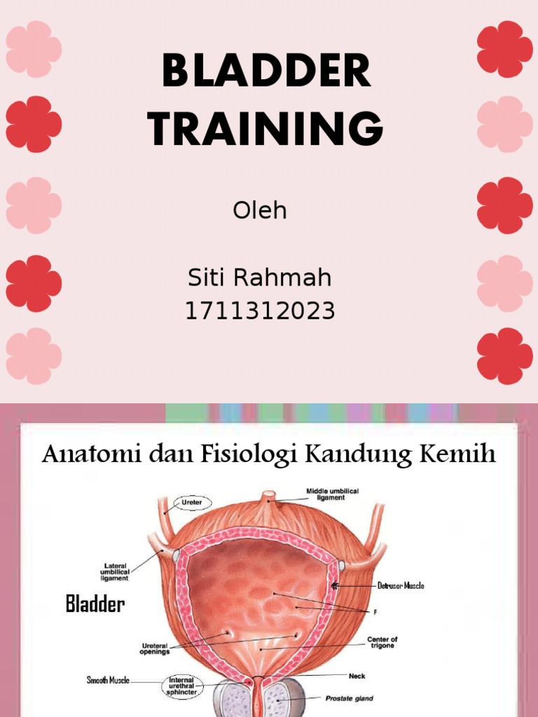 Bladder Training PDF