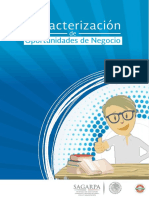 Caracterización de Oportunidades de Negocio-ON-004-Alimentos Artesanales.pdf